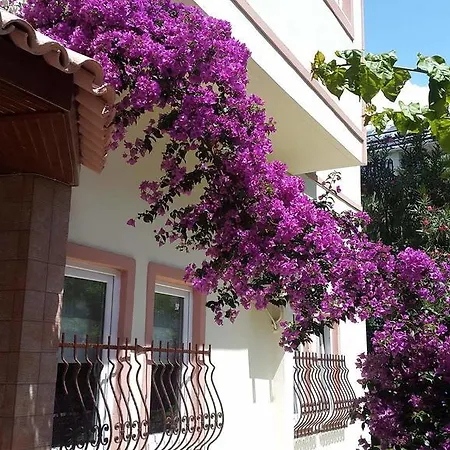 The S Aparts & 호텔